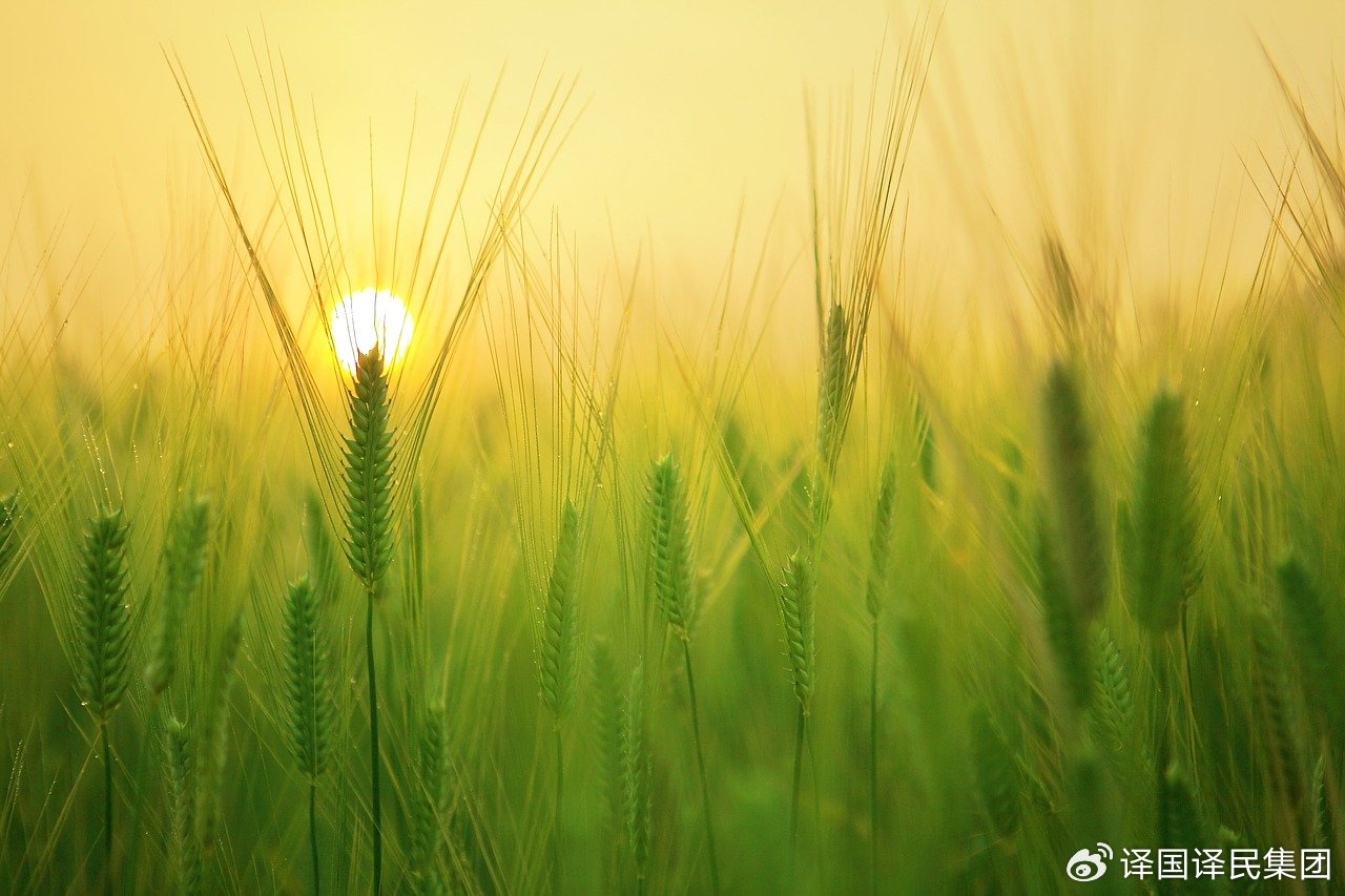 jbo竞博·(电竞)Dota2、LoL、CSGO等电较量事竞猜